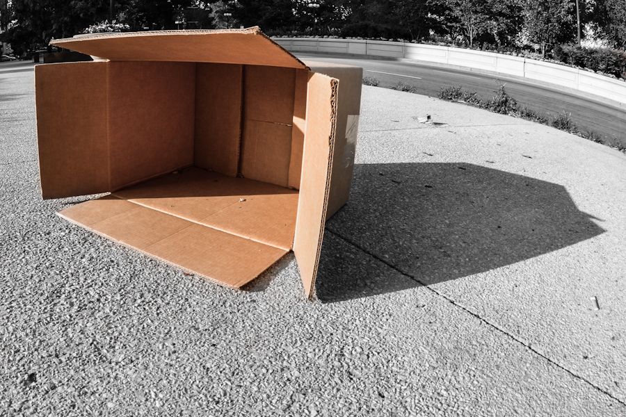TODO: describe the photograph for “Discardboard”