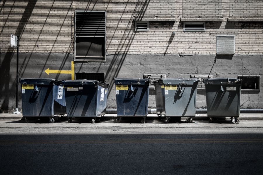 TODO: describe the photograph for “Discipline”