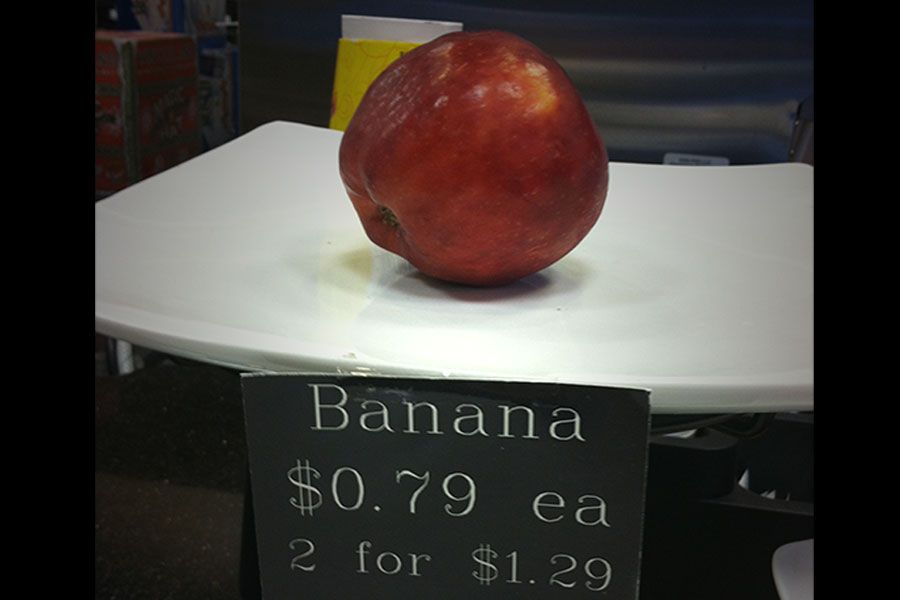 TODO: describe the photograph for “Semantics”