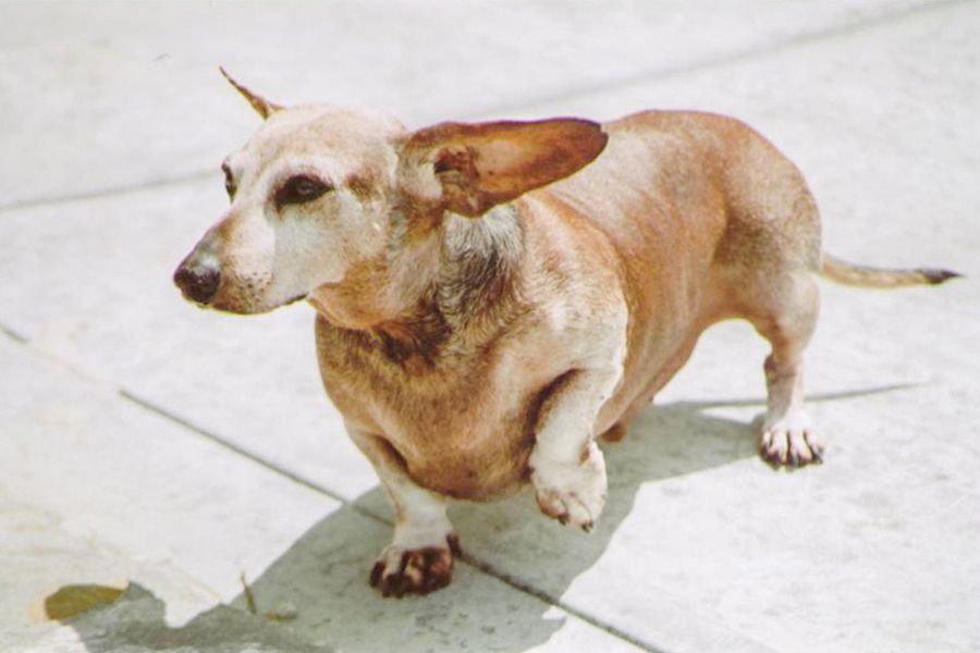 TODO: describe the photograph for “Ability”